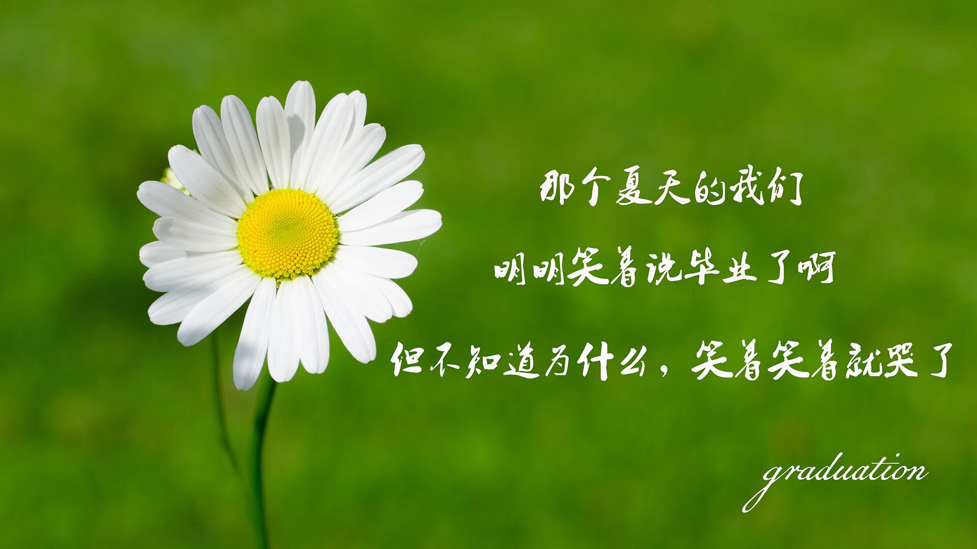 库兹马诺维奇在巴黎奥运会手球比赛中屡次扑救对方单刀球，库兹马首发