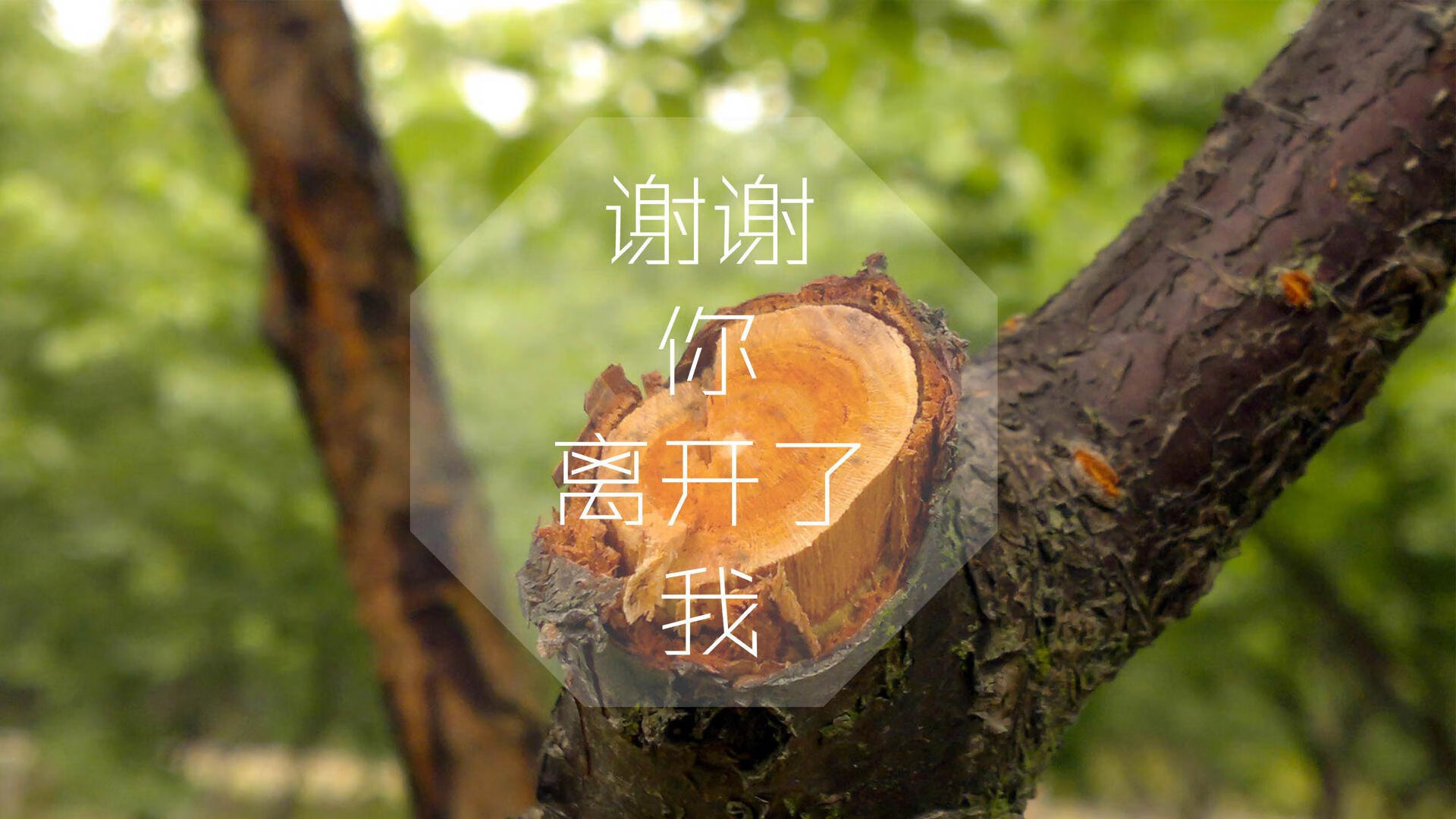 法甲比赛密集期球员疲劳管理新技术探索