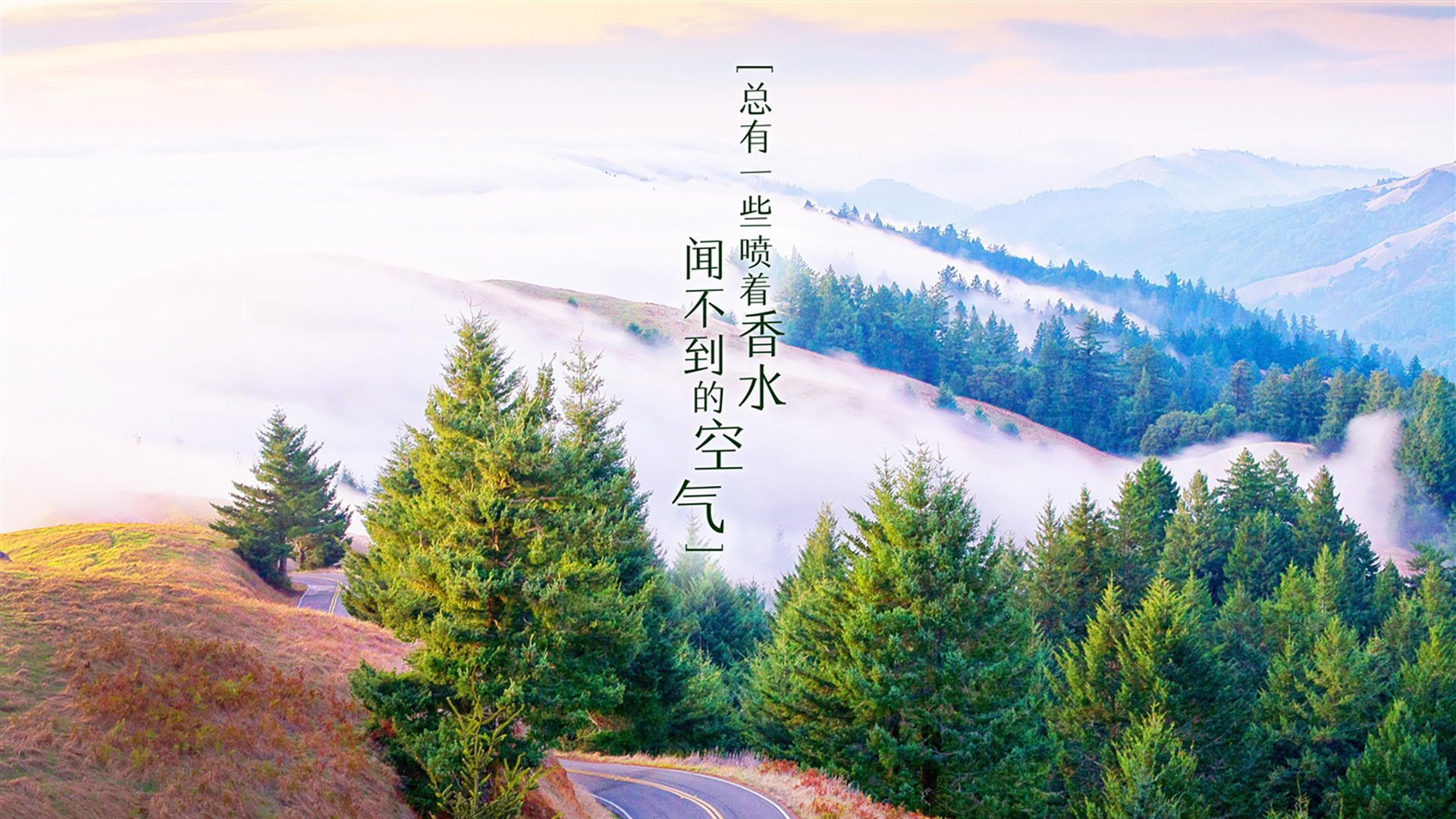“武汉马拉松赛：选手的拼搏，让赛道见证奇迹”