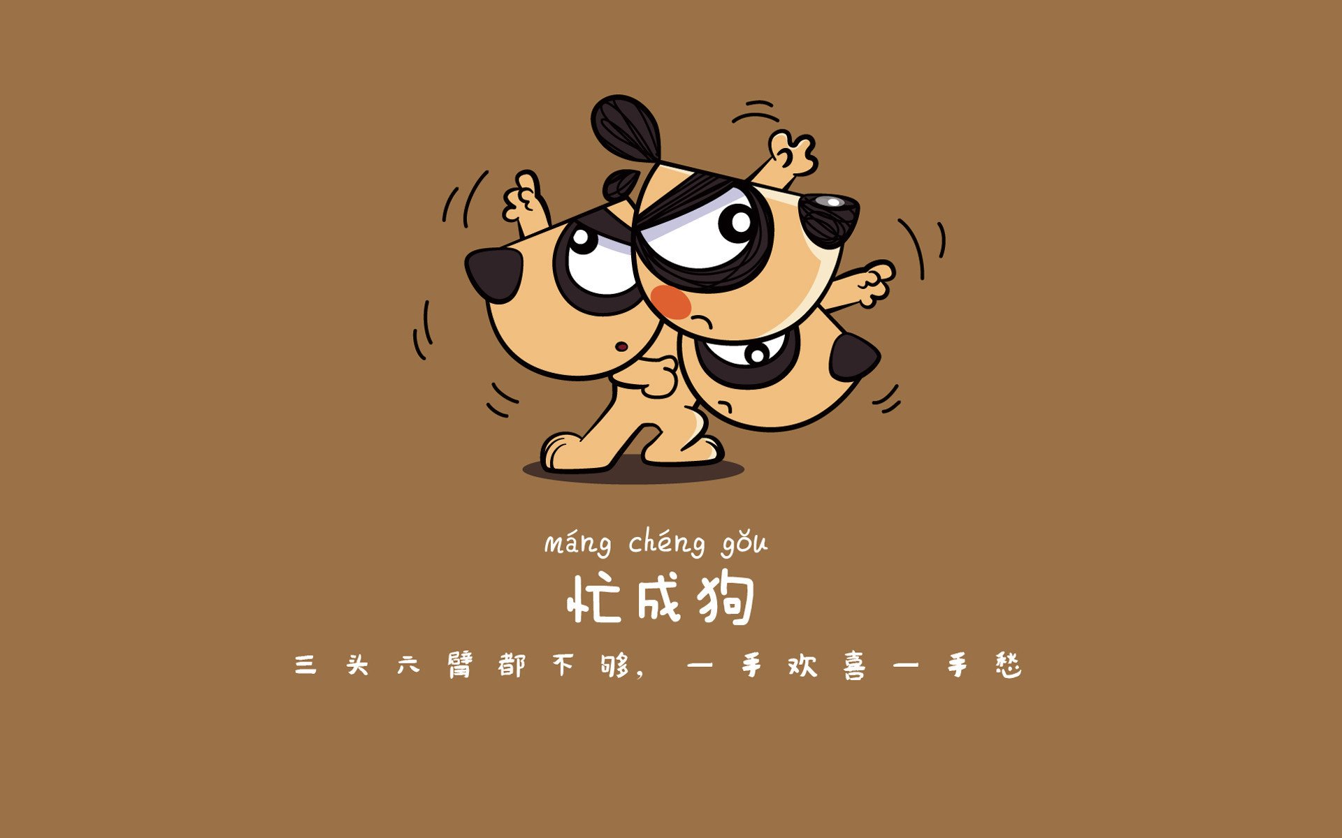 中国羽协宣布全国青少年分站赛恢复举办，中国青少年羽毛球队