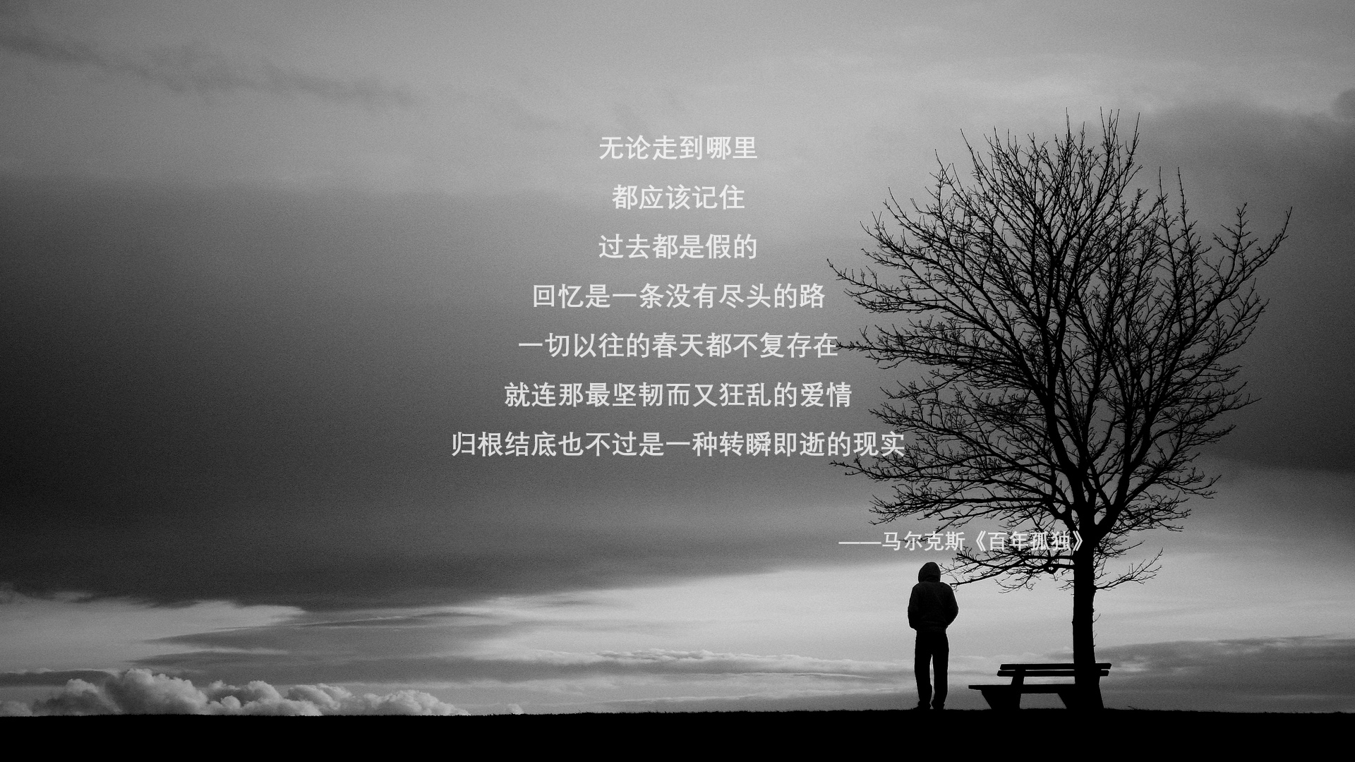 美洲杯顶级对决：技术与拼搏激烈碰撞，美洲杯读秒绝杀