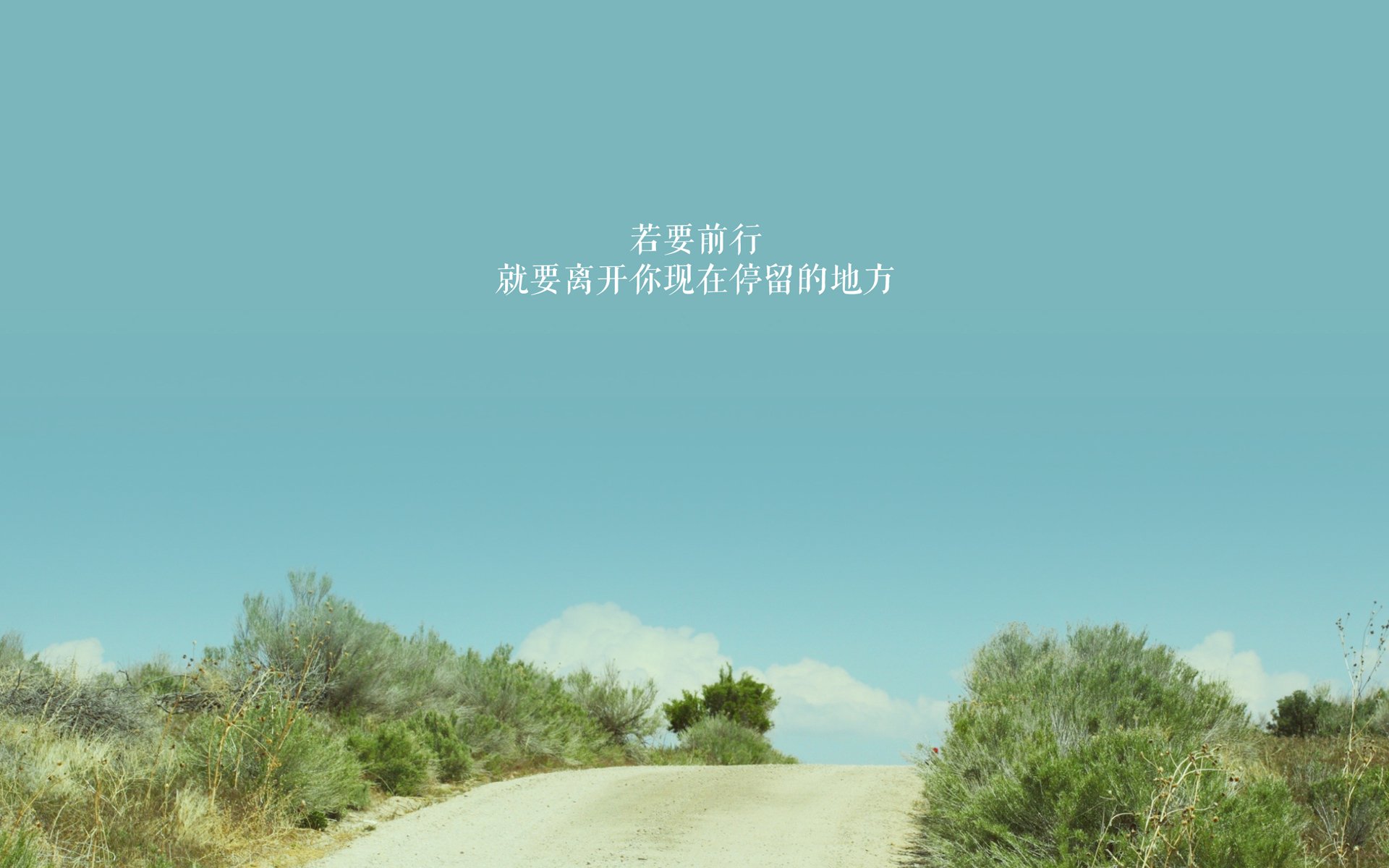 FB体育注册网址-里奇·麦考：作为全黑队的防守核心，成就不可复制的橄榄球传奇